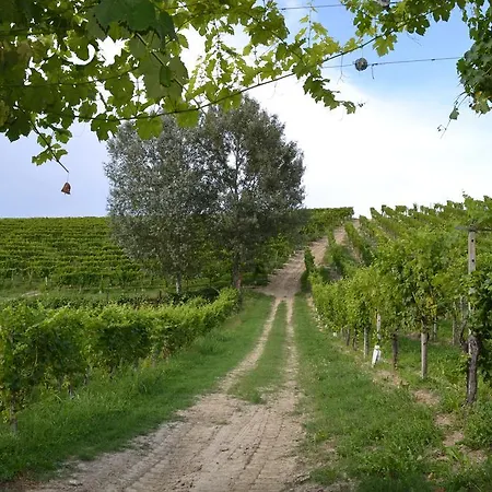 Tenuta La Pergola Cisterna d'Asti
