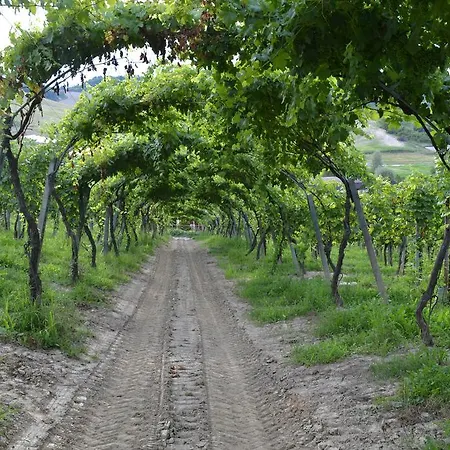 Фермерский дом Tenuta La Pergola *